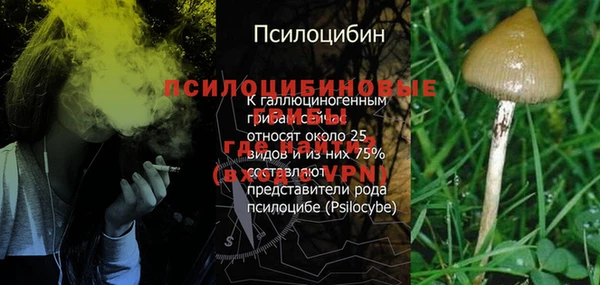прущая мука Новодвинск
