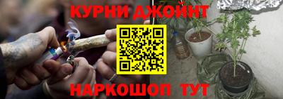 прущие грибы Гай