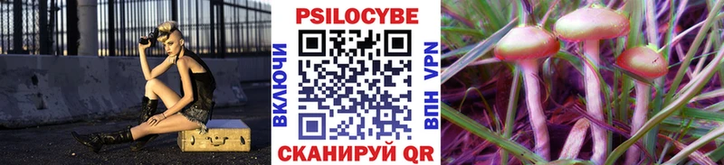 как найти закладки  Химки  Псилоцибиновые грибы Cubensis 