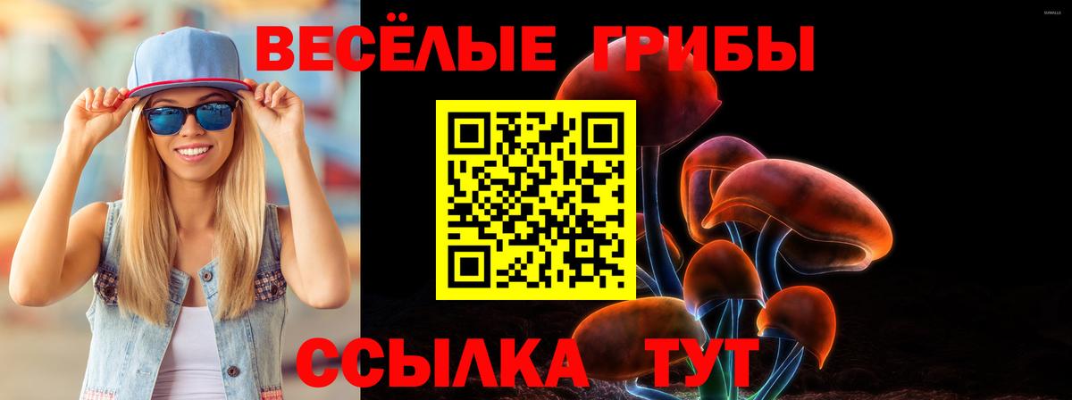Галлюциногенные грибы MAGIC MUSHROOMS  купить наркотик  Химки  Вход с VPN 