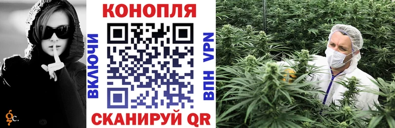 это наркотические препараты блэк спрут как войти Канабис OG Kush Химки наркотики